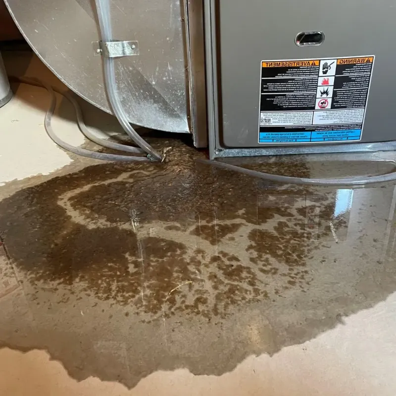 Pipe Burst and Leak Restoration in Granville, NY