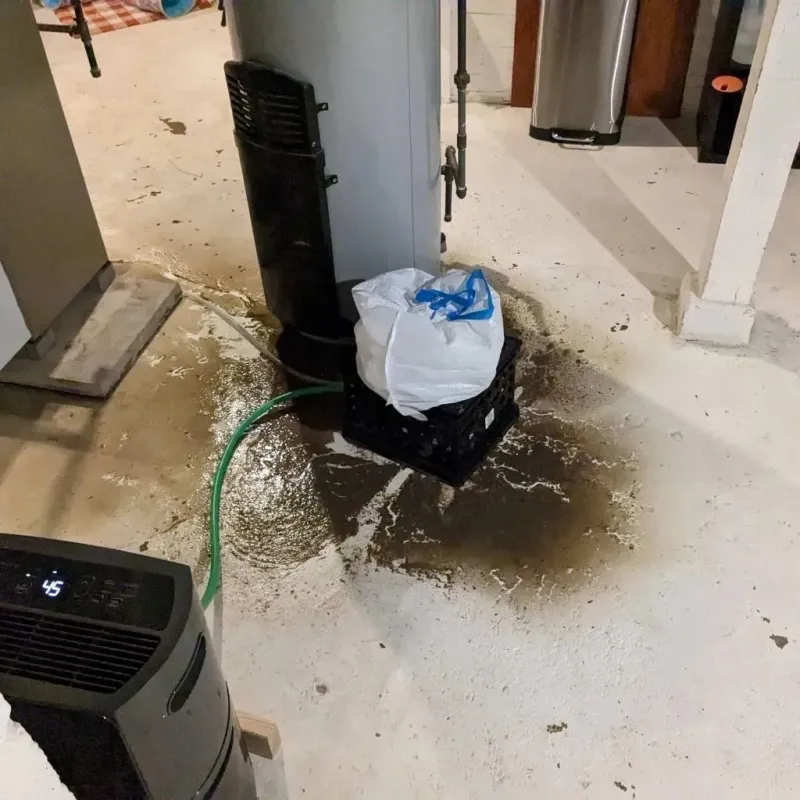 Sewage Backup Cleanup Service in Granville, NY
